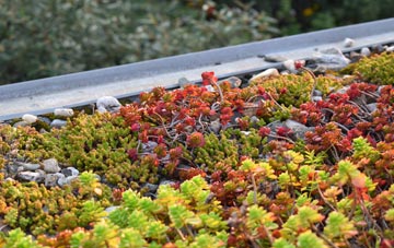 the cost of Boughton Aluph green roof installation